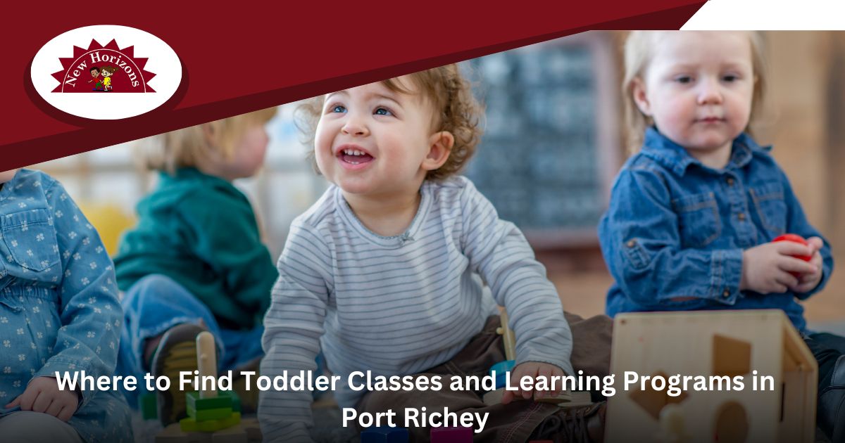 toddler classes in Port Richey